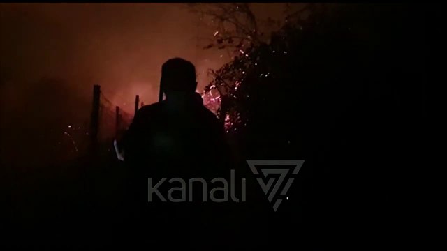 ZJARR NË ZVËRNEC, RREZIKOHEN SHTËPITË, SHKRUMBOHEN DISA HEKTARË ME PEMË - News, Lajme - Kanali 7