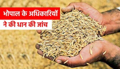 जबरन बनाया जा रहा है धान खरीदने का दबाव