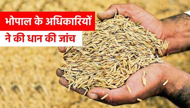 जबरन बनाया जा रहा है धान खरीदने का दबाव