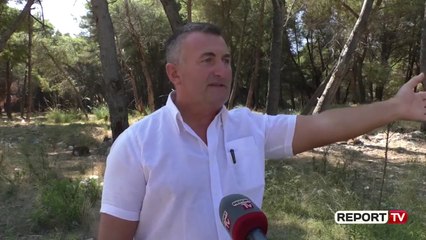 Report TV - Degradimi i Pyllit të Sodës, "mushkëria" që u kthye në gangrenën e Vlorës