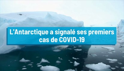 Coronavirus : un premier foyer détecté en Antarctique