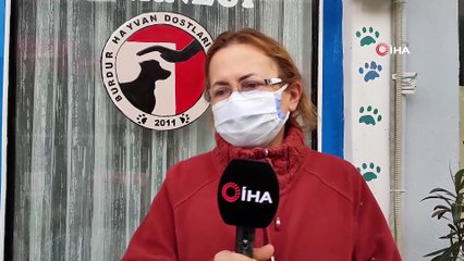 Köpeği koyuna saldırttı, videoya çekip yayınladı