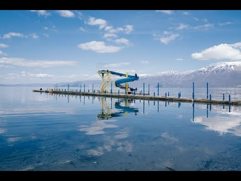 Flamingo për herë të parë në Pogradec - News, Lajme - Vizion Plus