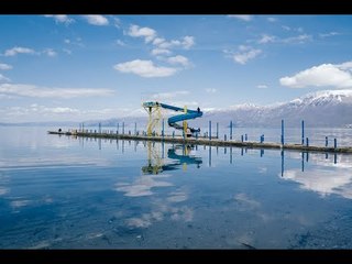 Flamingo për herë të parë në Pogradec - News, Lajme - Vizion Plus