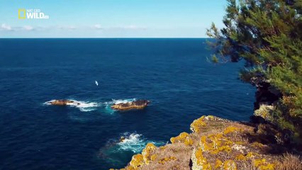Islands of Europe  [National Geographic Documentary HD 2017]