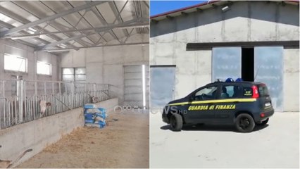 Megamashtrim me fondet europiane në Siçili, e përfshirë dhe një kompani fantazëm në Shqipëri