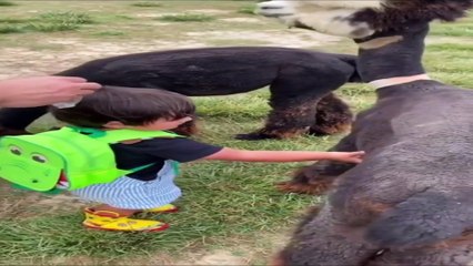 Kim böyle bir kucaklaşmaya hayır diyebilir ki?