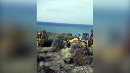 İskenderun Çevre Derneği Başkanı Kara: Akçalı'da kesilen zeytin ağaçları sit alanındaydı