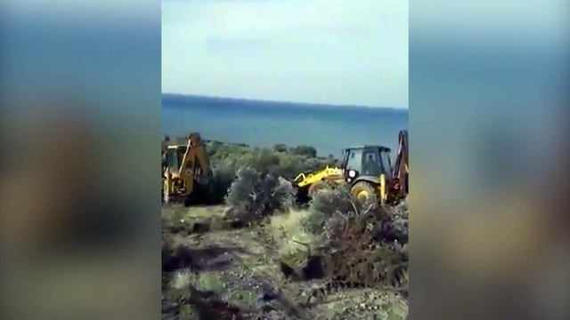 İskenderun Çevre Derneği Başkanı Kara: Akçalı'da kesilen zeytin ağaçları sit alanındaydı