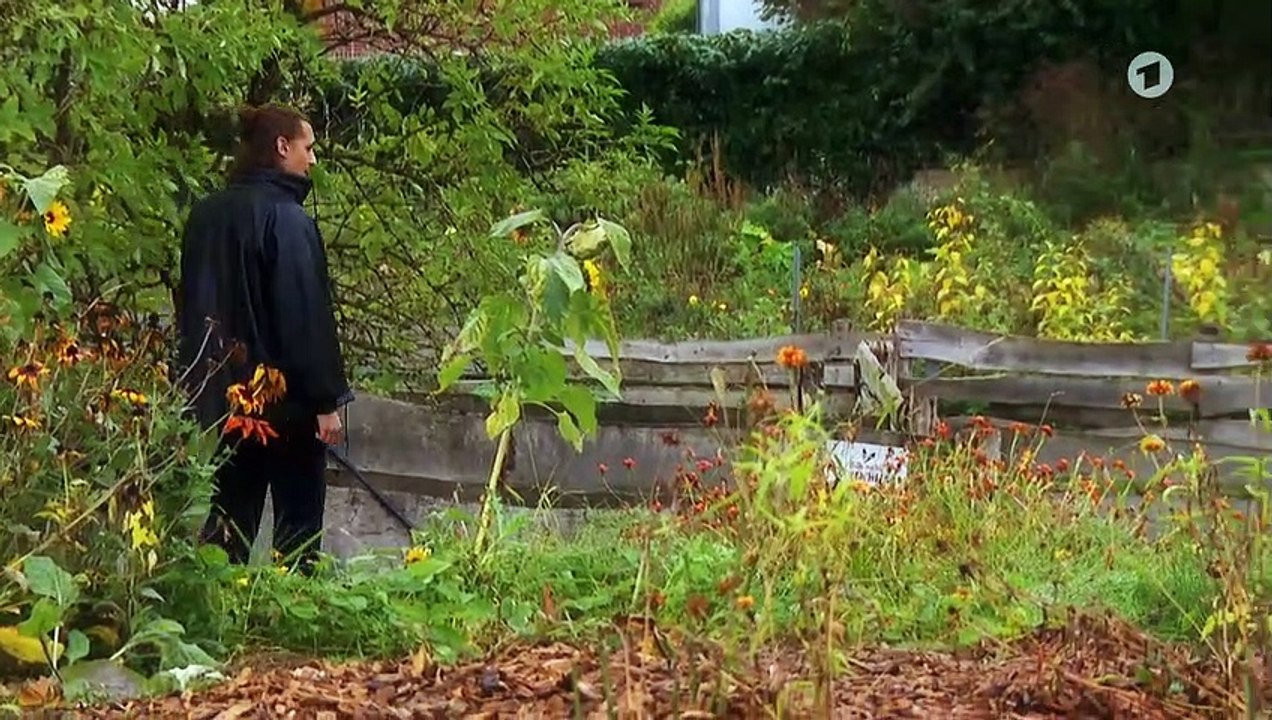 Rote Rosen :  Folge 3249: Verliebt