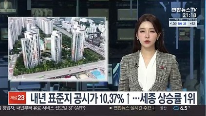 내년 표준지 공시가 10.37%↑…세종 상승률 1위