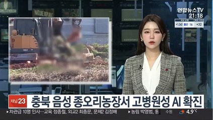 충북 음성 종오리농장서 고병원성 AI 확진