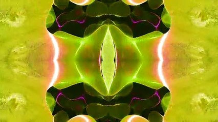 Free Background, Colors Motion Graphic, No Copyright