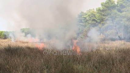 Ora News - Përfshihet nga flakët masivi pyjor i Semanit