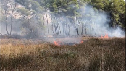 Ora News - Përfshihet nga flakët masivi pyjor i Semanit