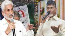Andhra Pradesh : YSRCP Target Is To Defeat Chandrababu In Kuppam - MP VijaySai reddy