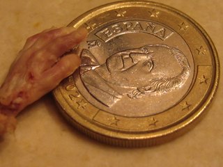 Las cloacas del negocio del aborto en España