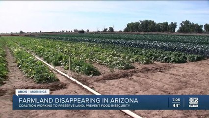 Farmland disappearing in Arizona