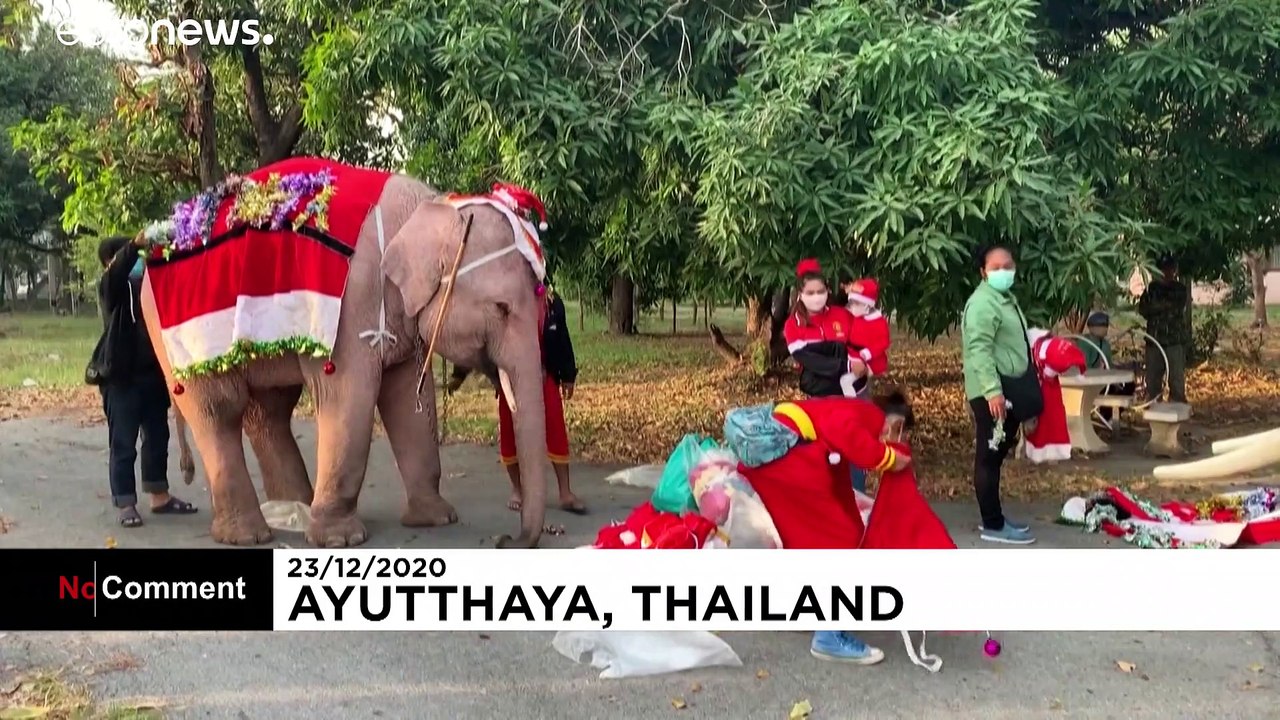 Thaïlande : des éléphants et leurs dresseurs déguisés pour Noël