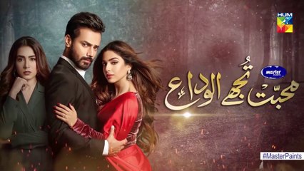 Mohabbat Tujhe Alvida Episode 28 HUM TV Drama 23 December 2020