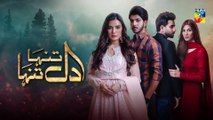 Dil Tanha Tanha Episode 11 HUM TV Drama 23 December 2020