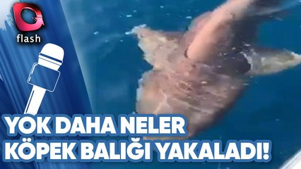 ANTALYA'DA AMATÖR BALIKÇI KÖPEK BALIĞI YAKALADI | Yok Daha Neler