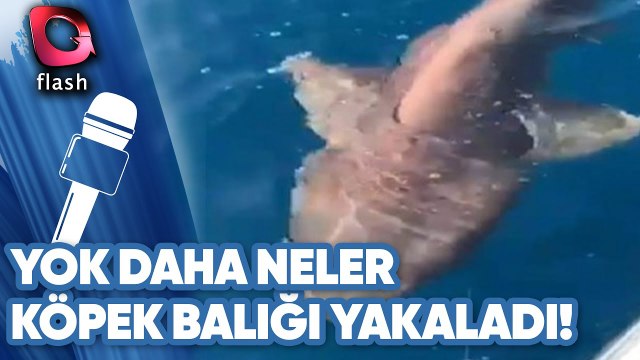 ANTALYA'DA AMATÖR BALIKÇI KÖPEK BALIĞI YAKALADI | Yok Daha Neler