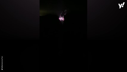 Festive train delivers spectacular Christmas light show