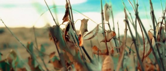 Onur Suygun & İpek Demir - Mağusa Limanı