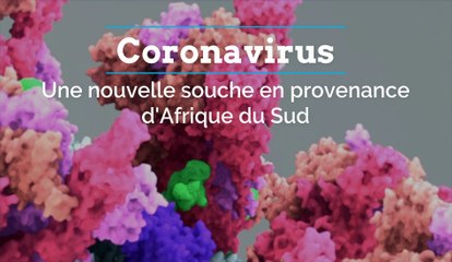 Coronavirus : une nouvelle mutation "hautement préoccupante" en provenance d'Afrique du Sud