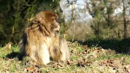 Changement Climatique : Réalité ou Fiction | Bande-Annonce (2020)