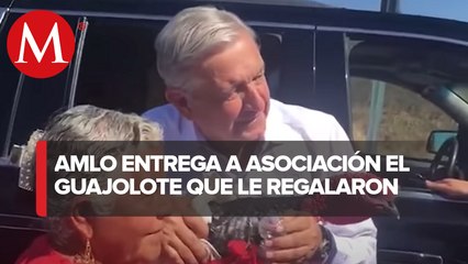 AMLO indulta a guajolote que le regalaron en Oaxaca