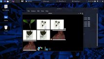 See what other people are browsing images on your WiFi and autosave it using driftnet || kali linux tutorial