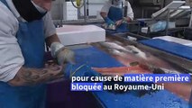 A Boulogne-sur-Mer, les mareyeurs attendent les poissons du Royaume-Uni