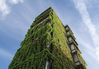 What Are The World 5 Greener Cities?