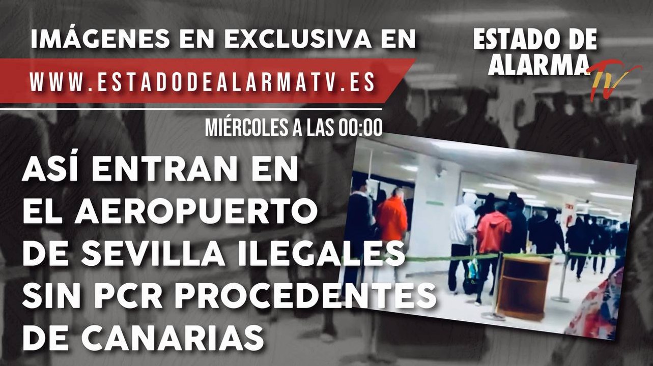 Así ENTRAN en el aeropuerto de SEVILLA ILEGALES sin PCR procedentes de CANARIAS