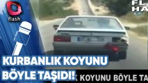 Kurbanlık Koyunu Böyle Taşıdı!