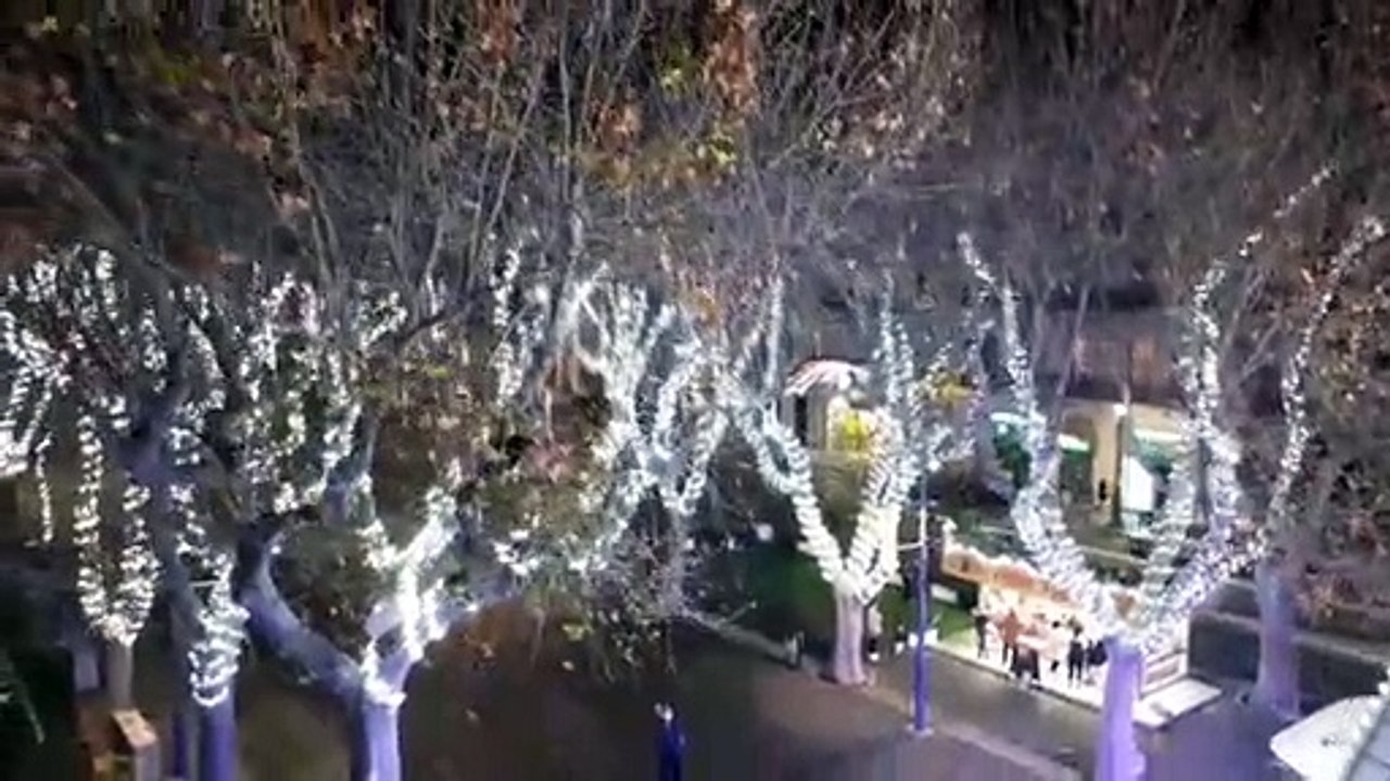Les allées Paul Riquet du haut de la grande roue de Béziers à 33 mètres de hauteur