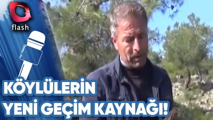 Köylülerin Yeni Geçim Kaynağı!
