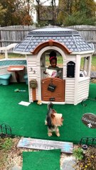 Adorable Toddler Has Order Confusion While Playing Restaurant