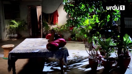 Ek Pal Ka Malaal - Episode 28 | Urdu 1 Dramas | Abid Ali, Rubina Ashraf