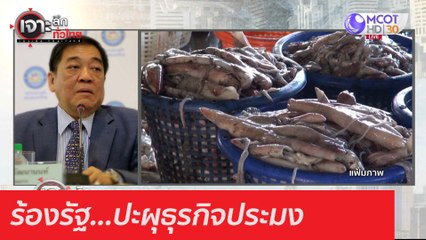 ร้องรัฐ...ปะผุธุรกิจประมง : เจาะลึกทั่วไทย (24 ธ.ค. 63) ช่วงที่ 5