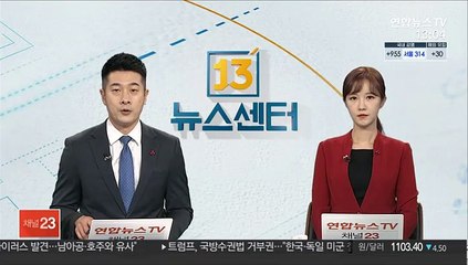 "문대통령 지지도 4주째 30%대…부정평가 59.1%"