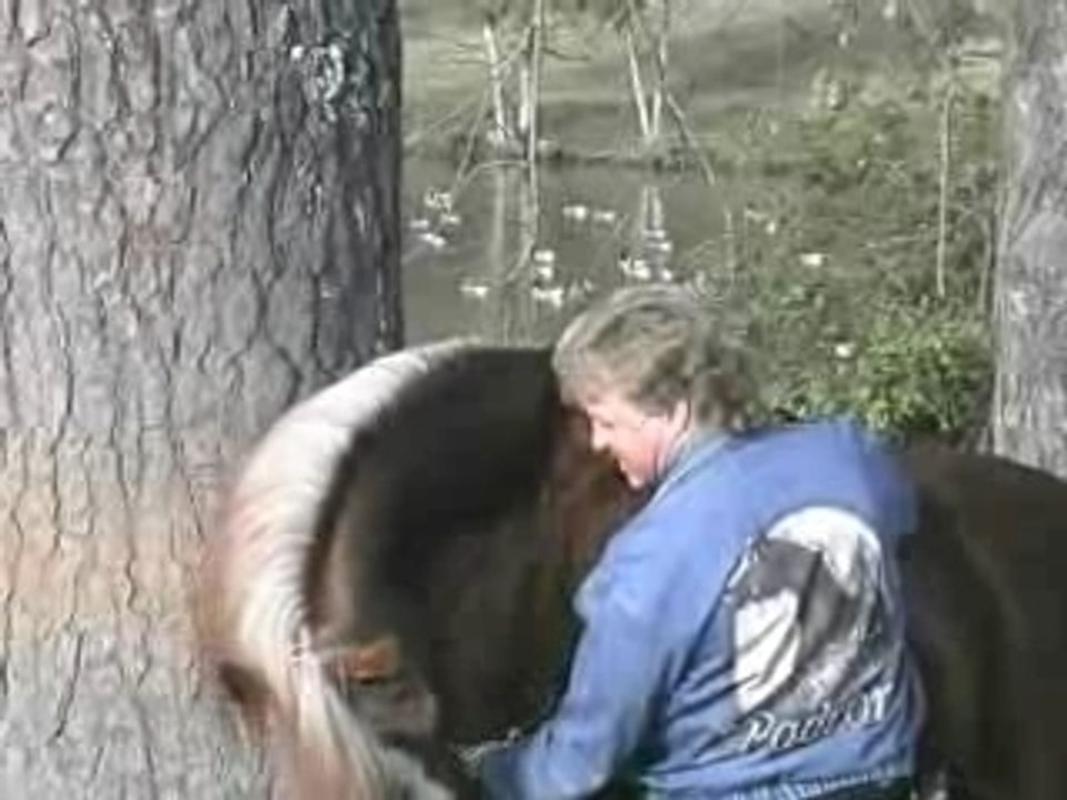 Windborne Video Productions - Premier Videographer to the Ar