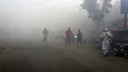 शामली: कोहरे से धीमी पड़ी वाहनों की रफ्तार