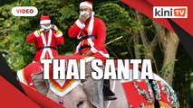 Santa rides elephants to Thai town, bearing gifts of face masks