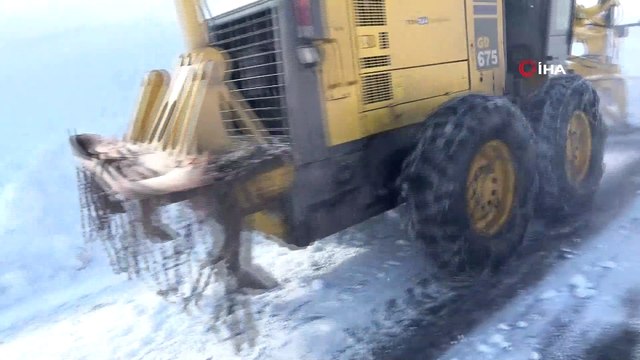 Muş’ta kar nedeniyle kapanan 151 köy yolundan 143’ü ulaşıma açıldı