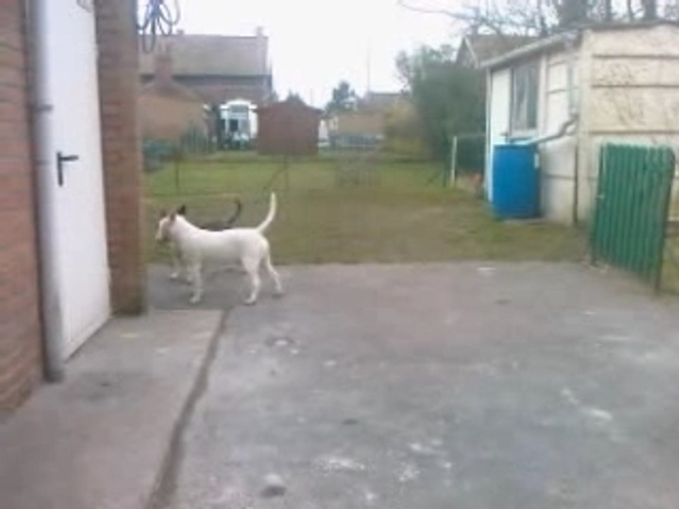 Loona n'est pas une femme facile lol