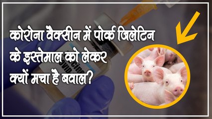 आखिर क्या है Pork Gelatin? जिसके कोरोना वैक्सीन में इस्तेमाल को लेकर मचा है बवाल!