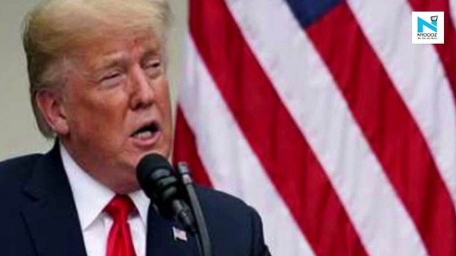 Donald Trump vetoes sweeping US defence bill, calls it 'gift' to Russia and China